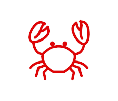 Морепродукты фото